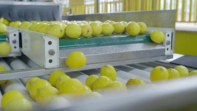 柠檬加工水果加工工厂工业饮料