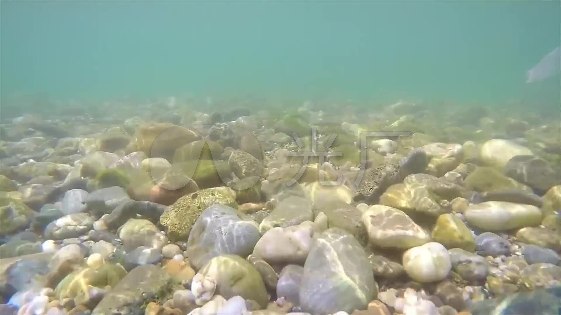 实拍浅海头石海底鹅卵石