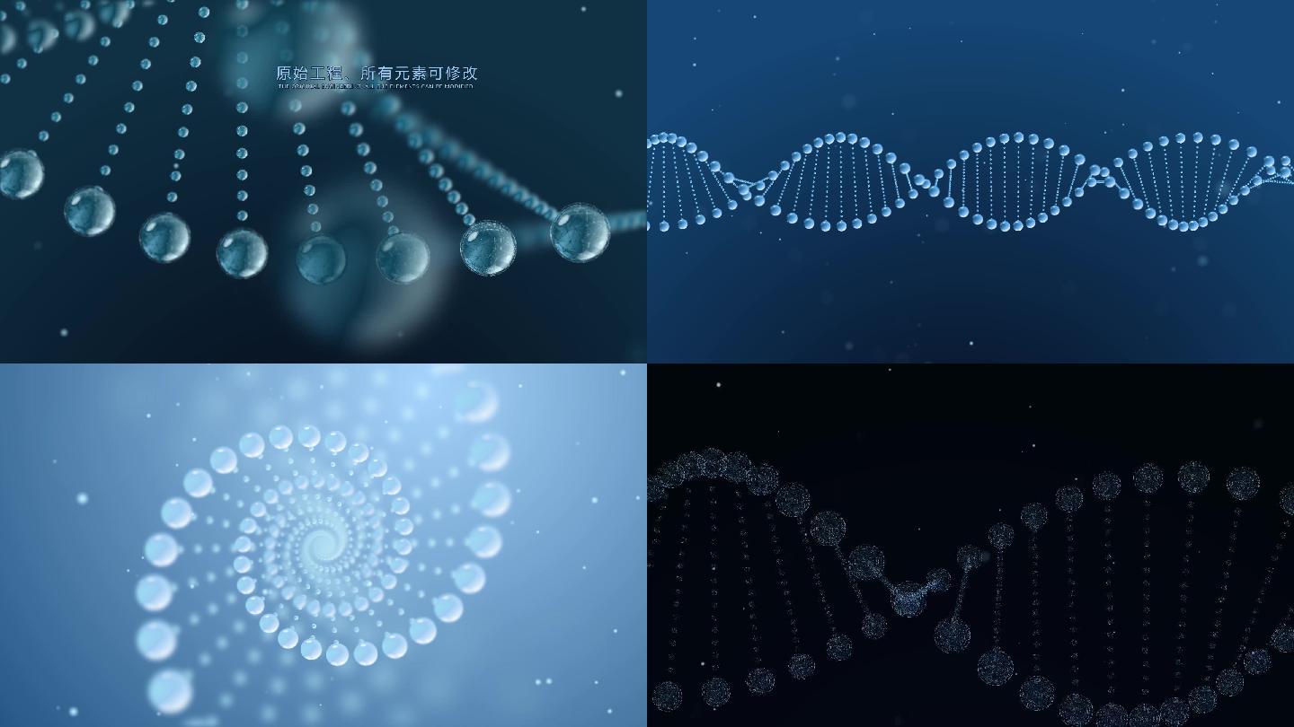 【原创】DNA分子结构AE工程