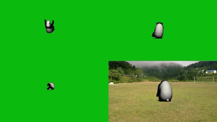 熊猫玩翻筋斗游戏绿幕抠像动画后期制作特效影视素材动物