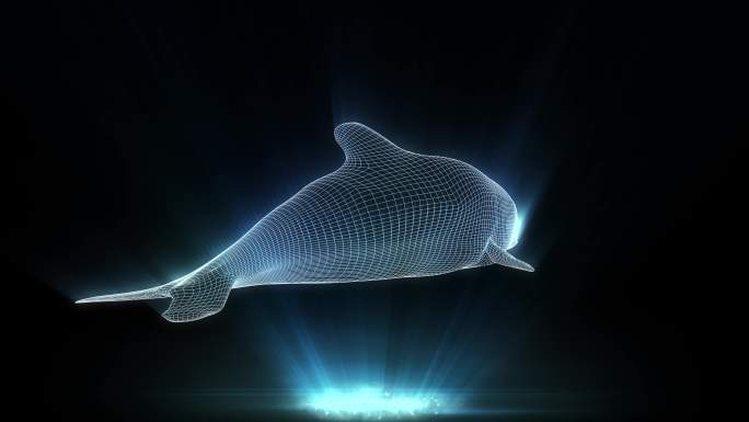 全息投影3D虎鲸网格旋转视频