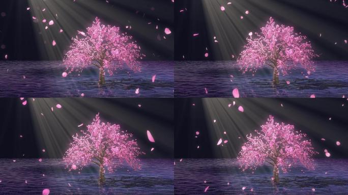 唯美桃树飘花瓣