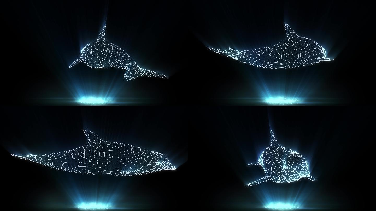 全息投影3d海豚网格循环视频_3840x2160_高清视频素材下载(编号
