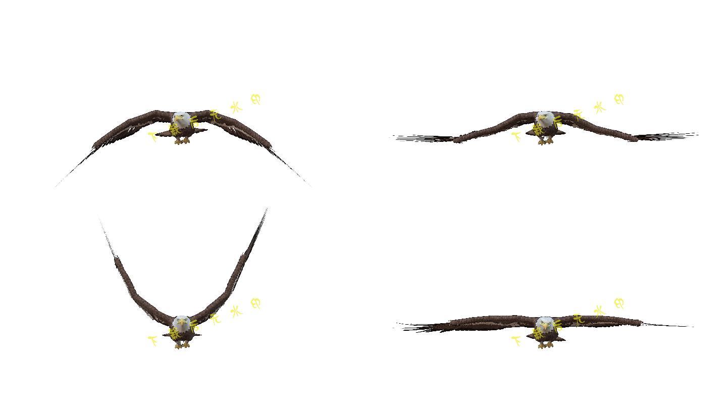 雄鹰老鹰（2）-alpha循环