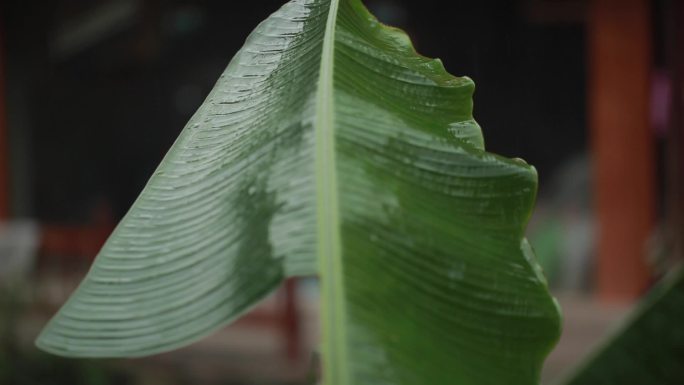 雨中村寨