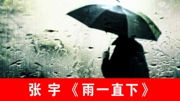 雨一直下-张宇（声画同步）