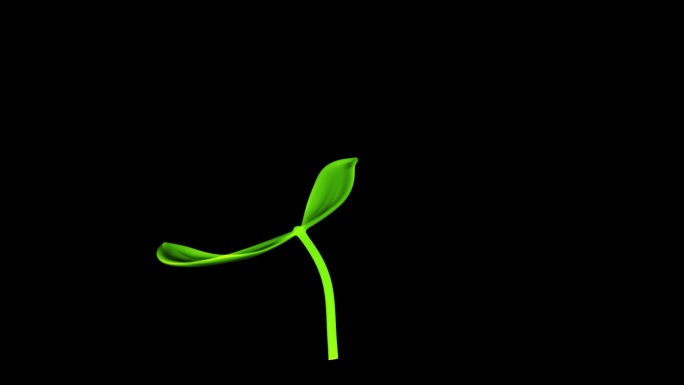 绿色植物树芽生长通道视频素材