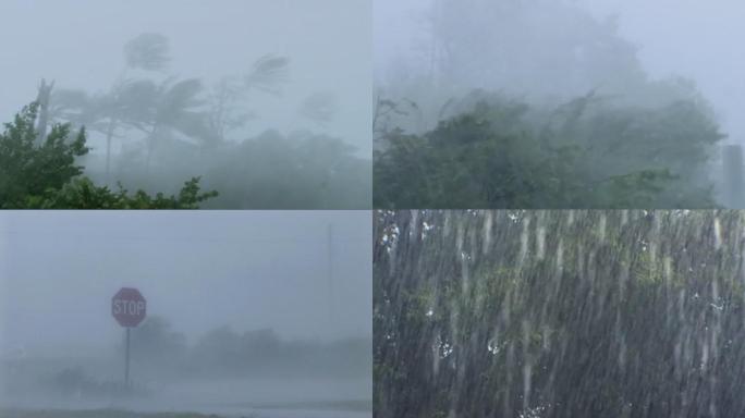 台风海啸大风水灾