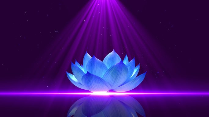 紫色蓝莲花