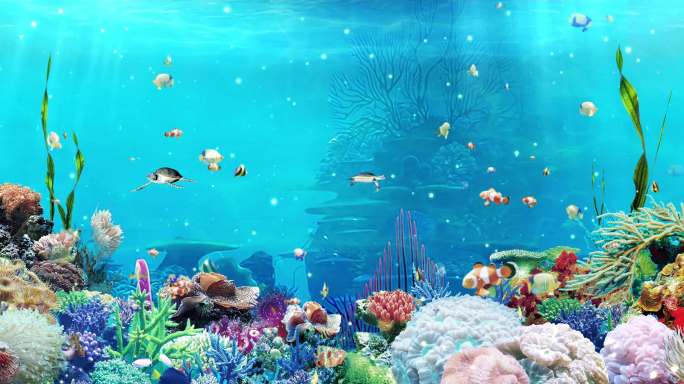 海底世界水族馆球形屏幕海龟鲨鱼海洋世界