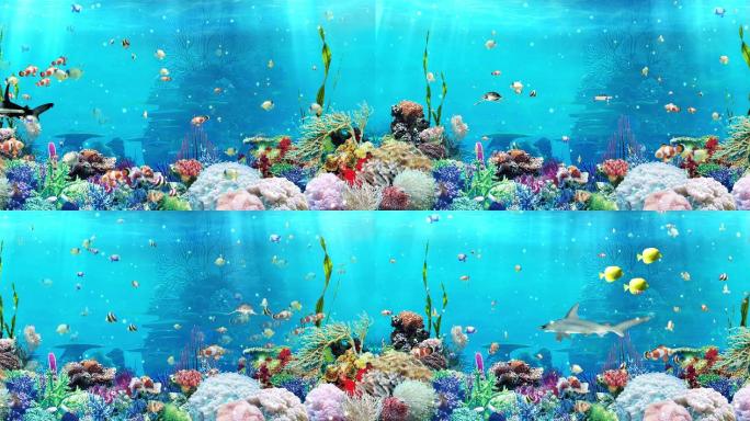 海底世界水族馆球形屏幕海龟鲨鱼海洋世界