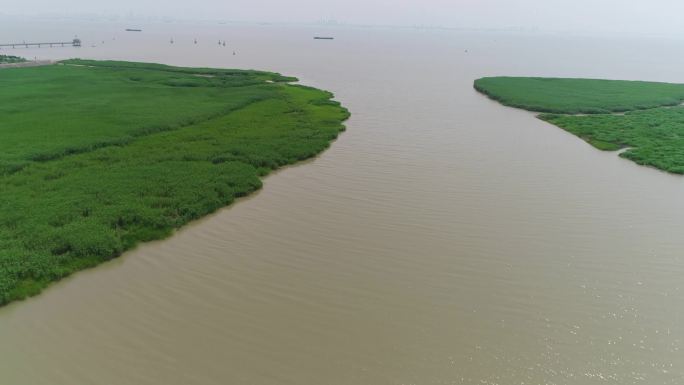 崇明西沙湿地