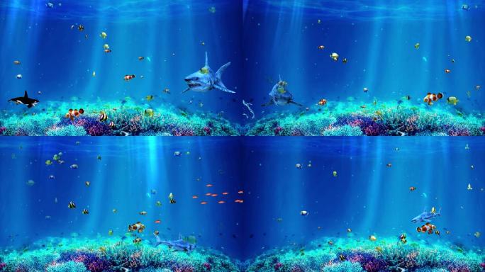 海底世界水族馆海洋世界球形屏幕鲨鱼水母