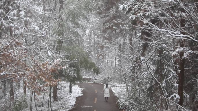 竹林雪景