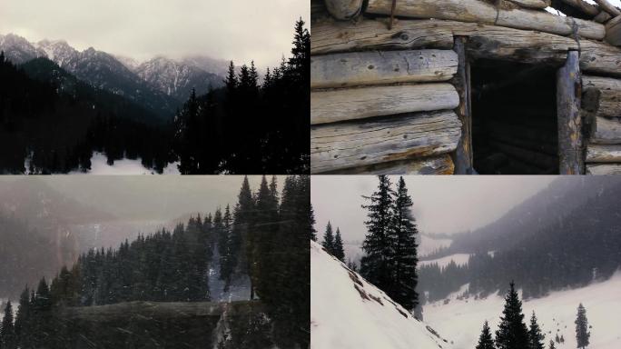 冬天天山云杉林降雪