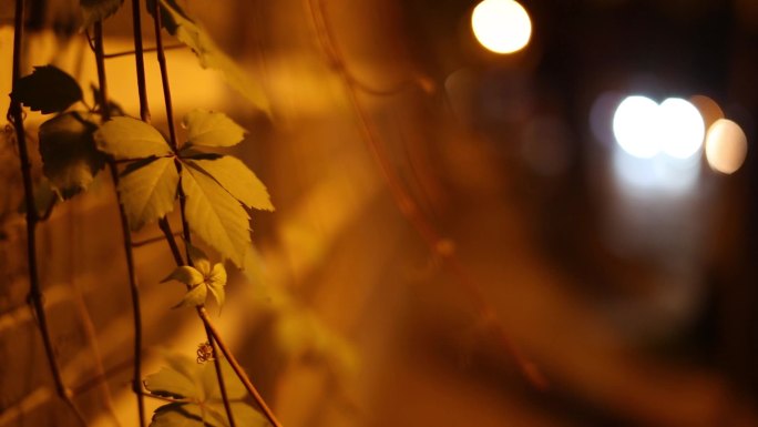 【原创】都市夜景五大道