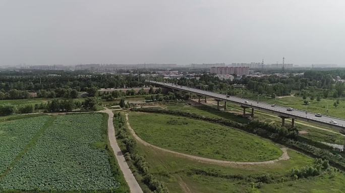 黄河大桥2