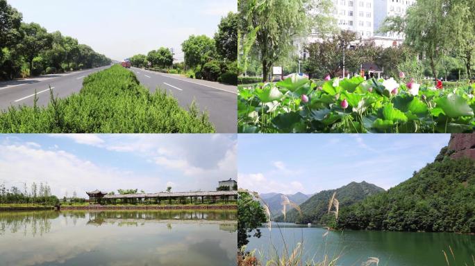 荷花公路湖水夜景溪流延时