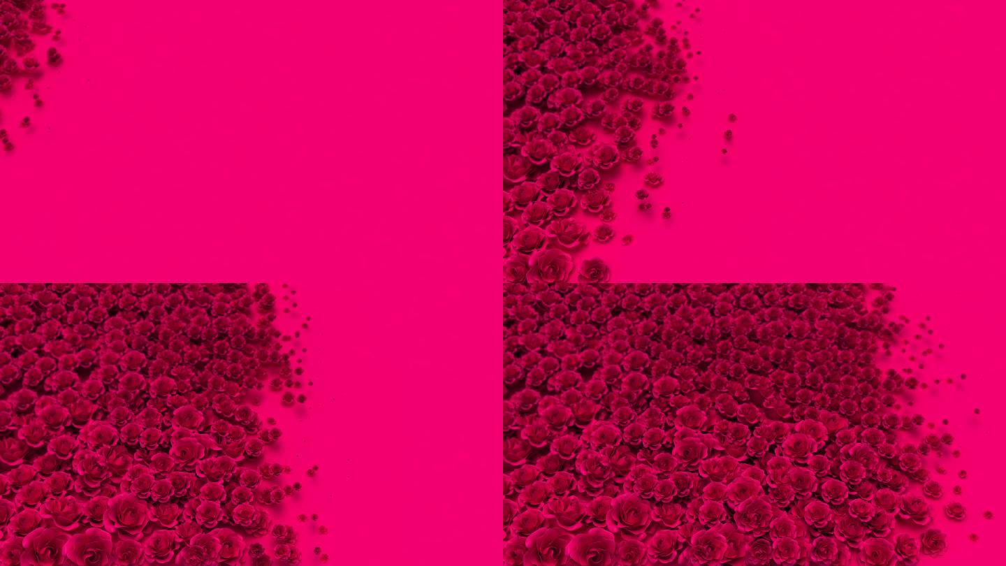 玫瑰花生长铺满浪漫三维动画动态视频