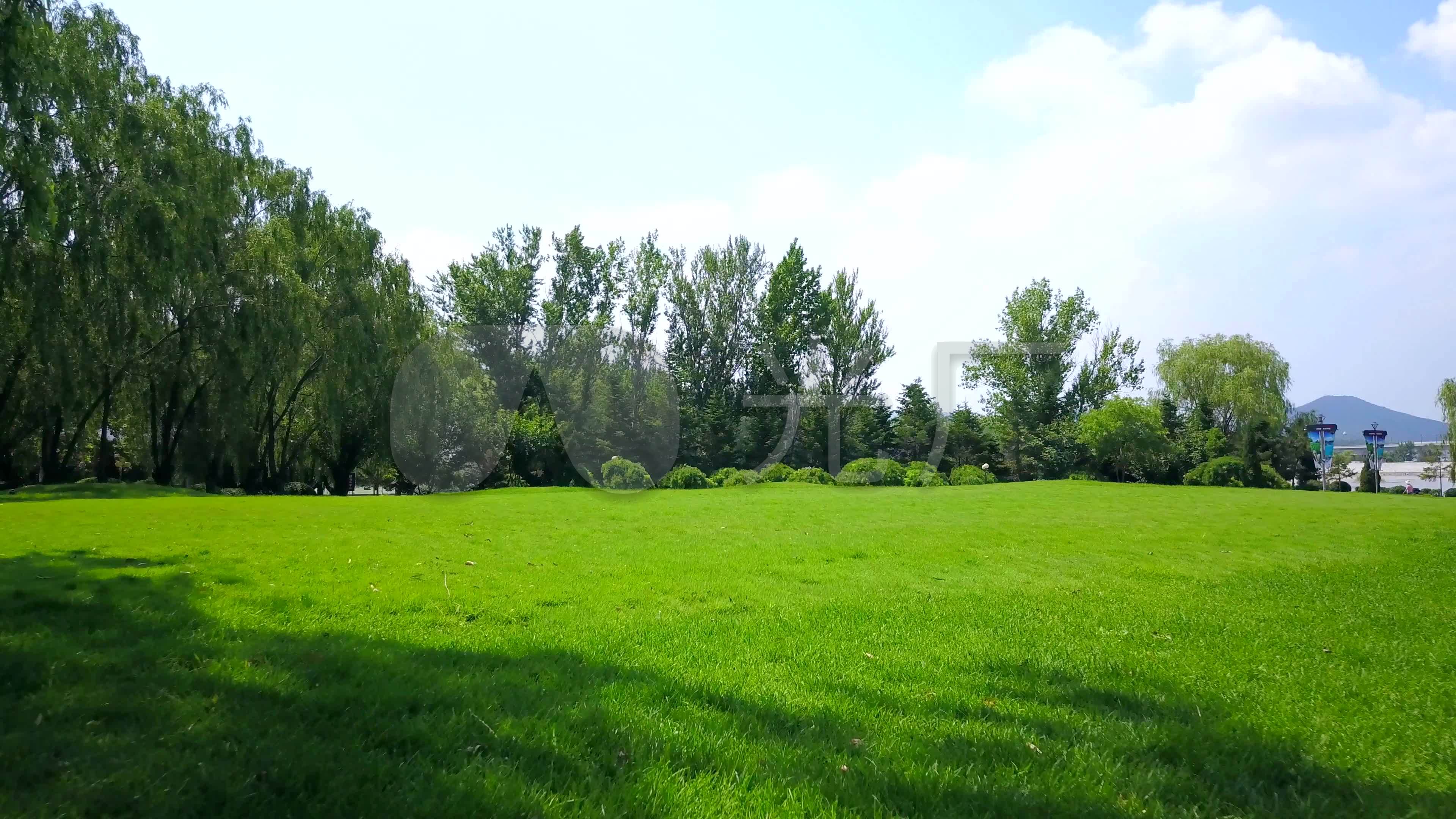 绿草地上的绿树 · 免费素材图片