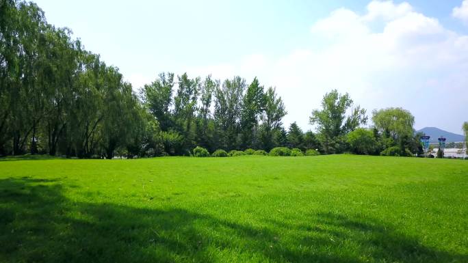 公园草坪绿地