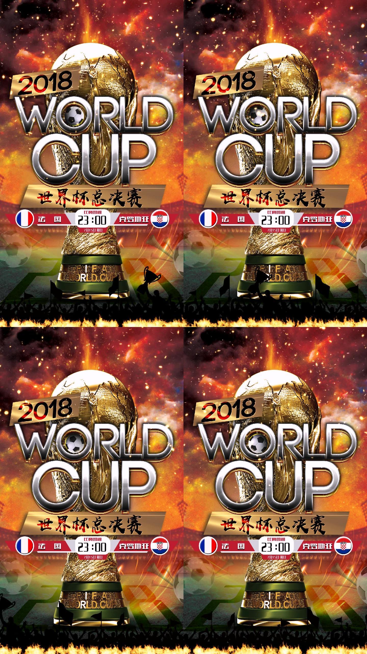 2018世界杯决赛手机微信小视频竖屏