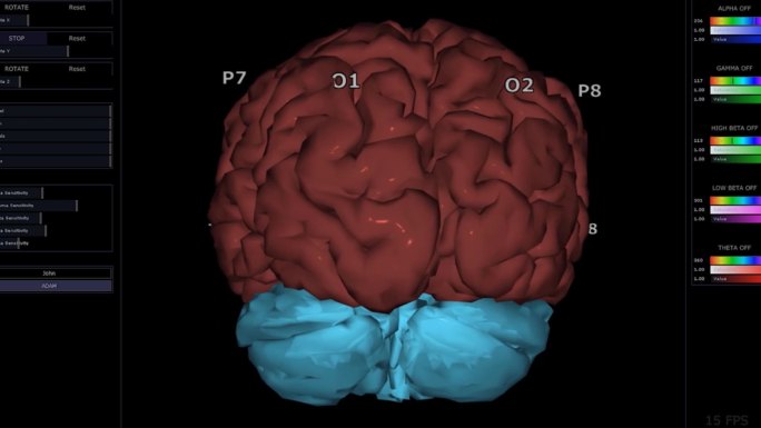 大脑三维大脑大脑构造