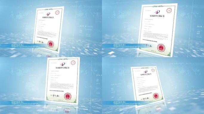 商务简洁干净科技展示专利证书奖章图片