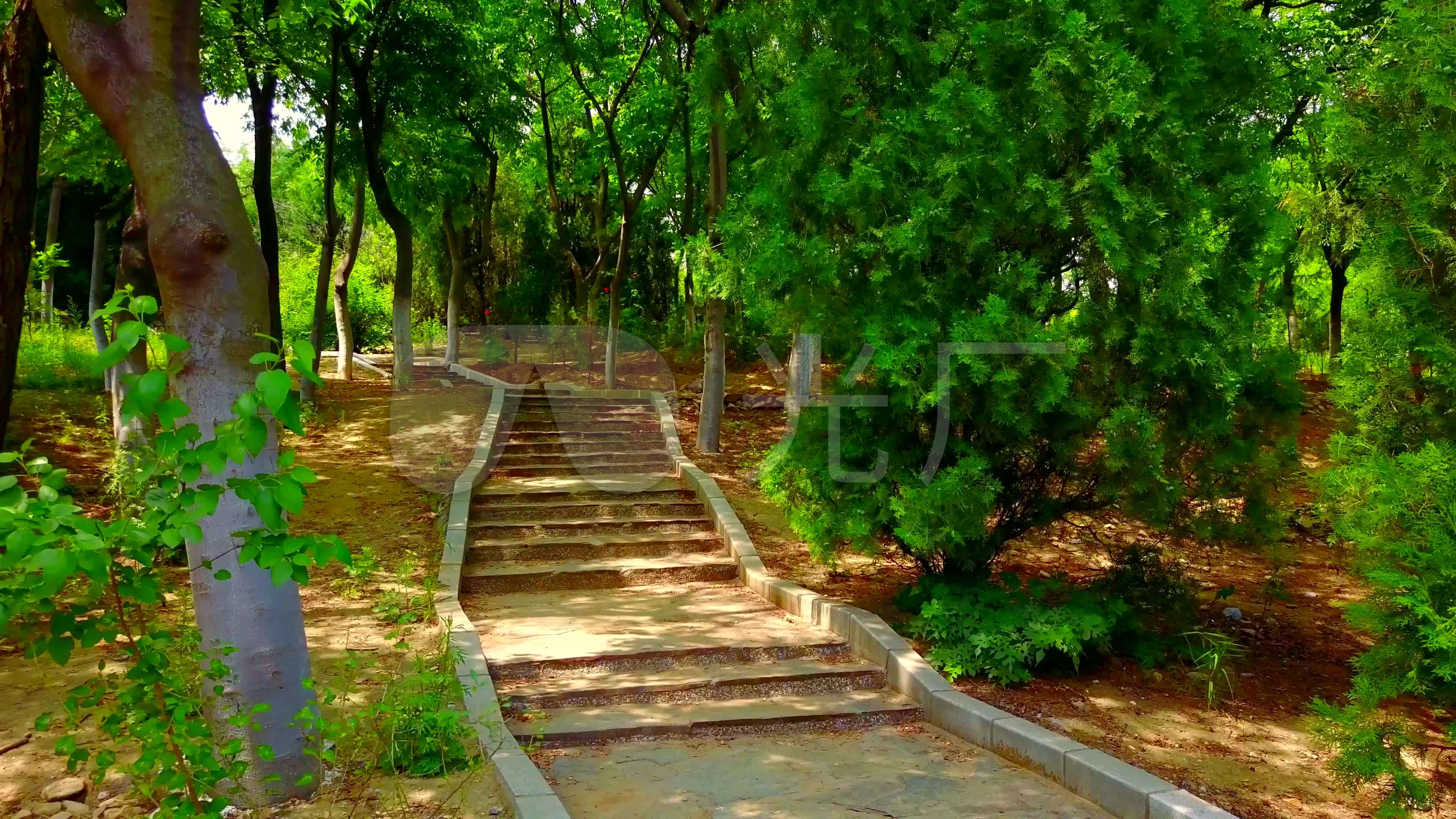 公园林荫路_3840x2160_高清视频素材下载(编号:2757891)_实拍视频_vj