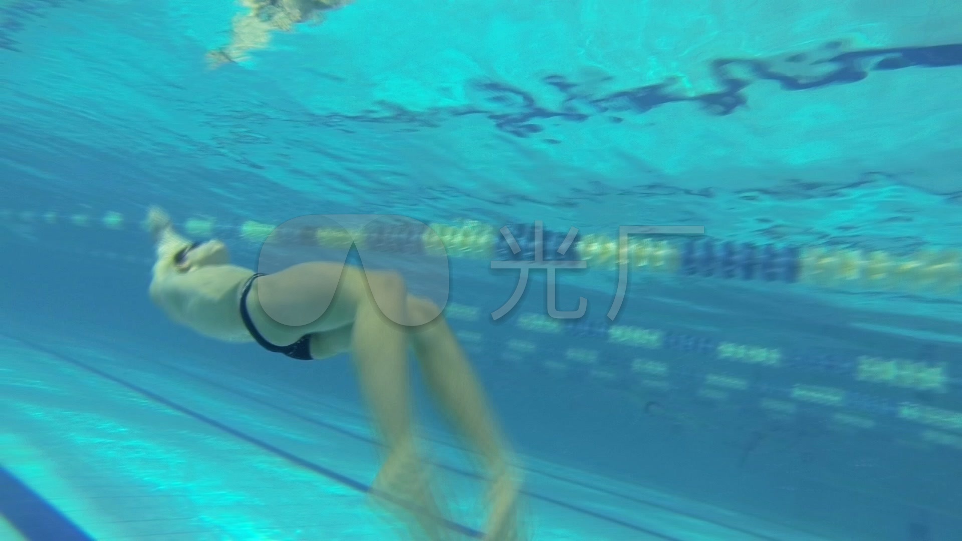 游泳跳水比赛_1920X1080_高清视频素材下载