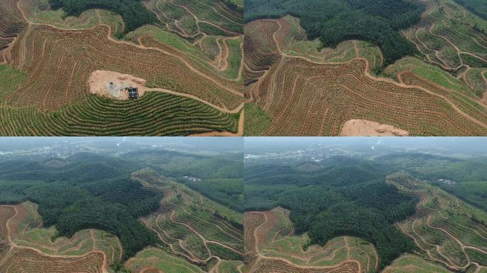 云南西双版纳德宏孟捧农场橡胶林航拍山脉