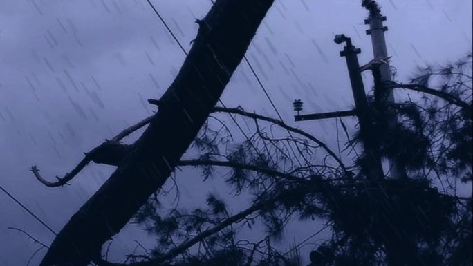电力小品雨夜树木压倒电线停电断电抢修抢险