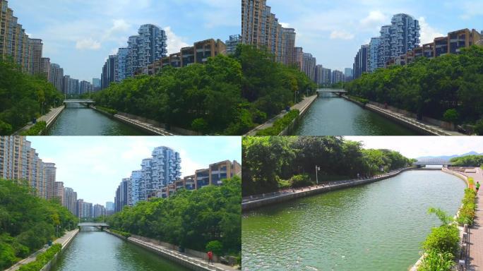 深圳湾中心河风景视频