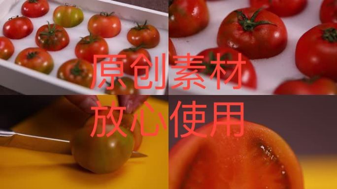 【高清原创】番茄棚拍