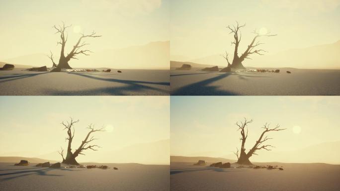 三维荒凉沙漠枯木