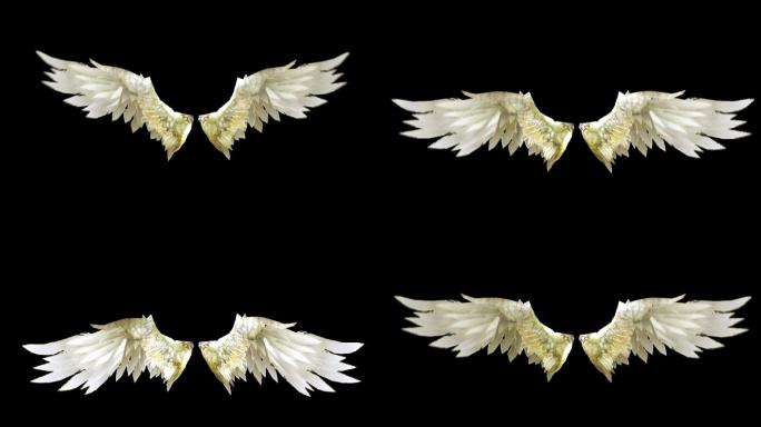 天使翅膀带透明通道可做循环动画