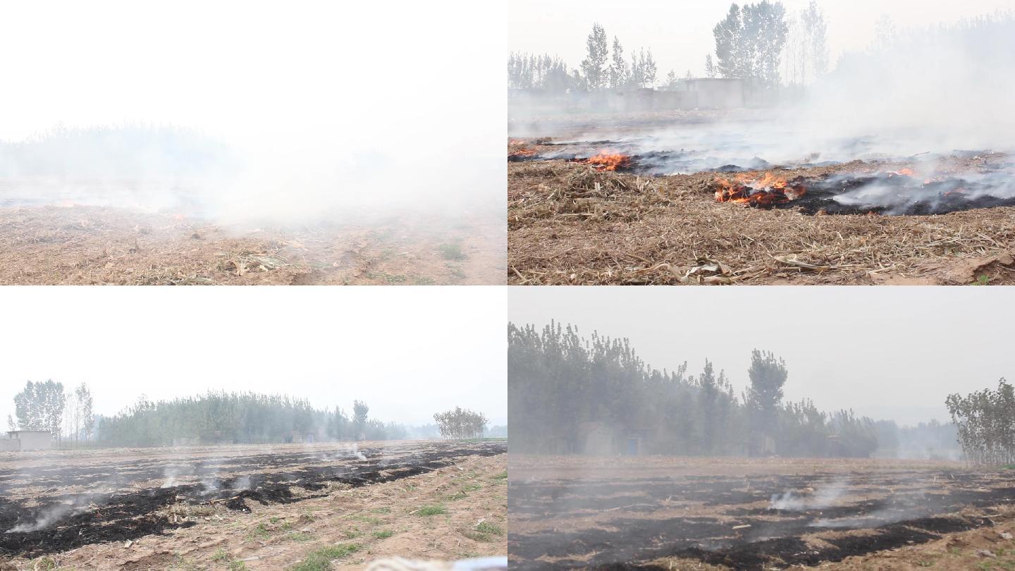 实拍农村秸秆焚烧污染环境