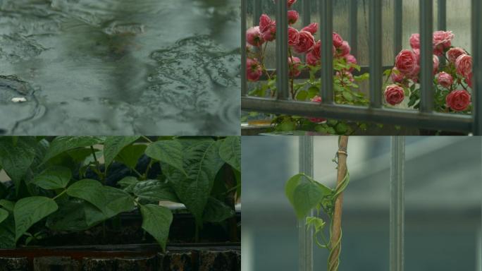 阳台花园雨景