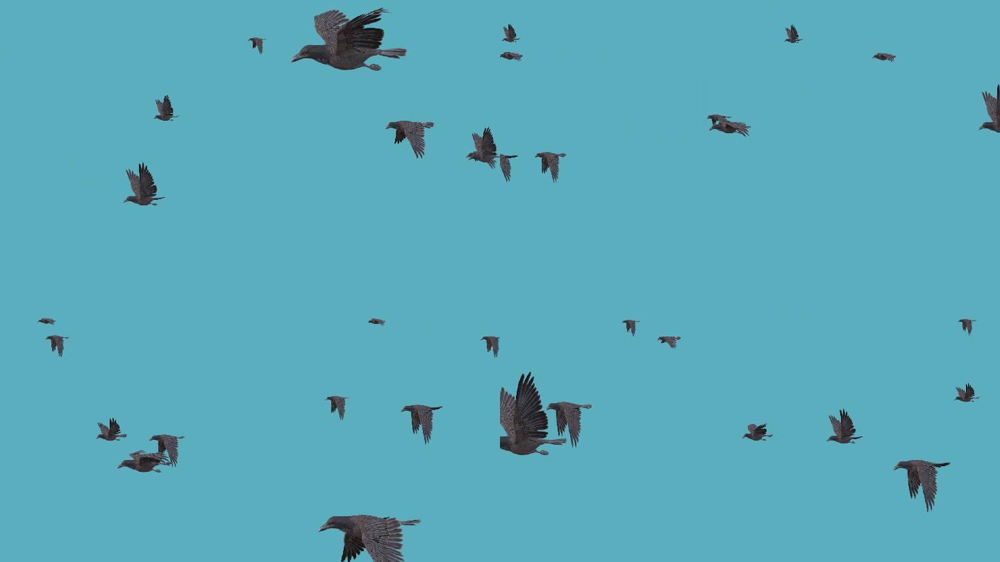 鸟群（01）-alpha通道