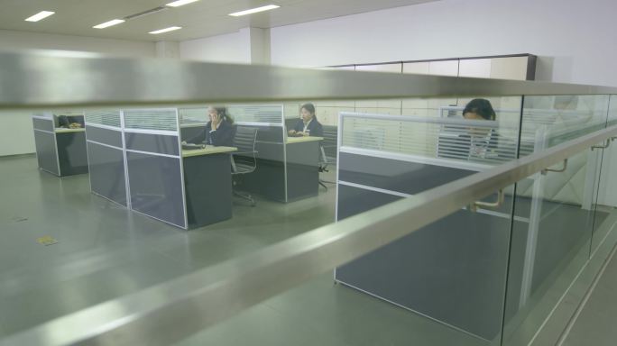 白领办公室认真工作