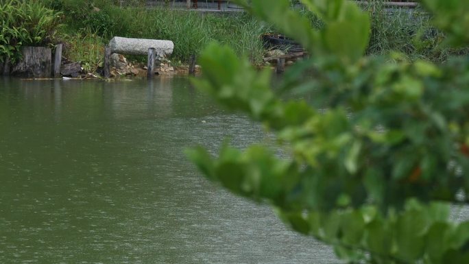 壹TV：雨中湖景