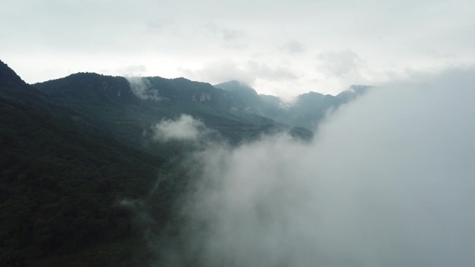 森林航拍 森林氧吧 生态森林 自然山川