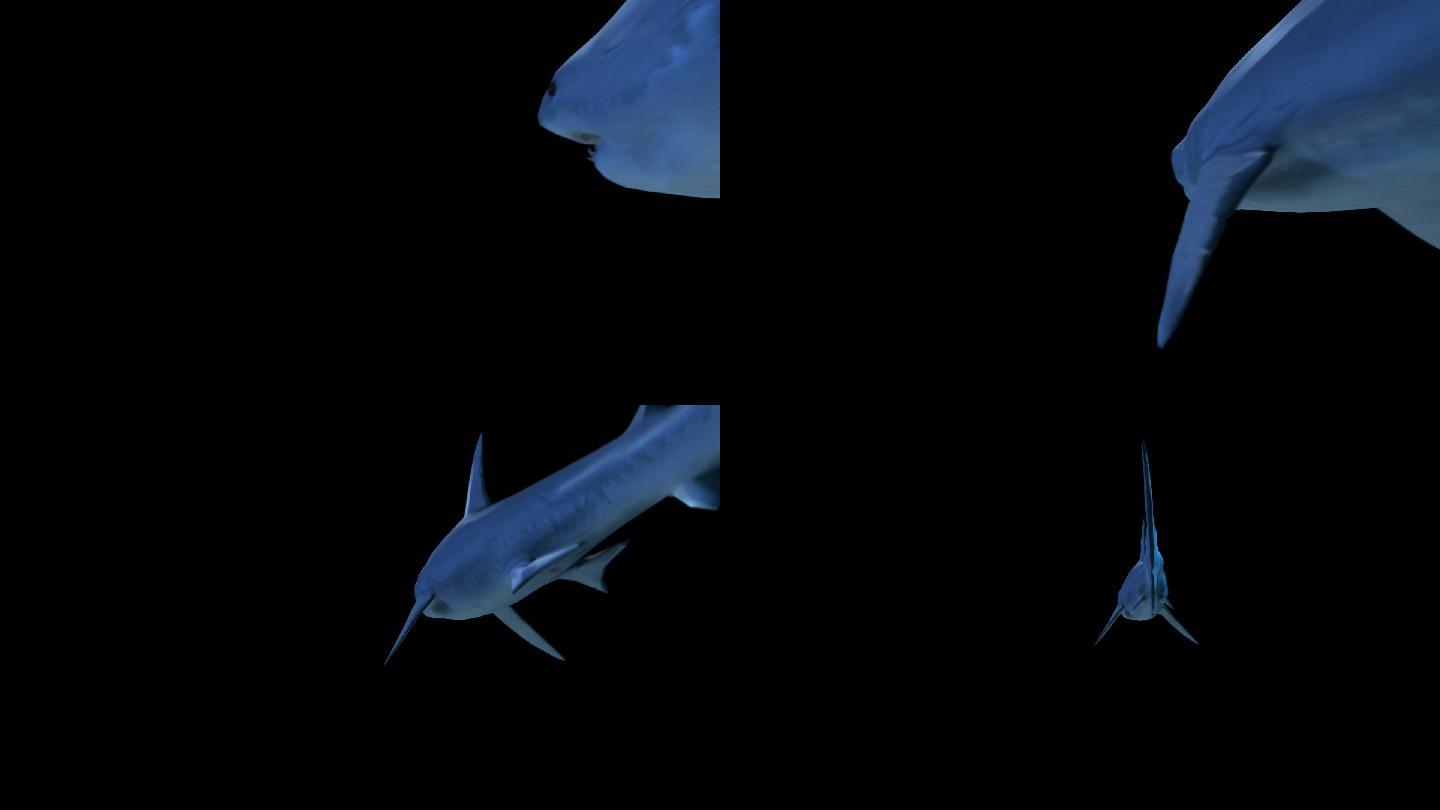 鲨鱼带通道版本3