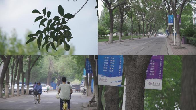 大学校园风景高清拍摄素材