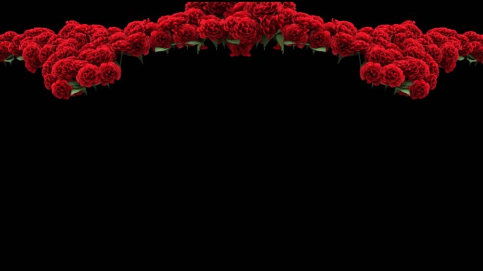 黑背景唯美玫瑰心形视频素材