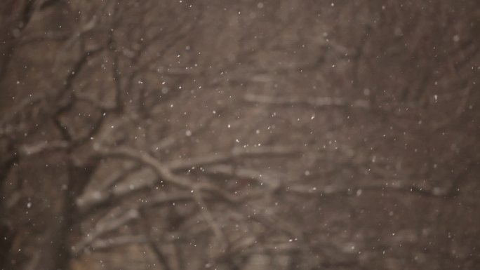 北京前门天坛雪景