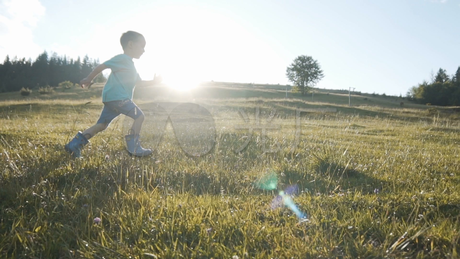 快乐的儿童在草地上玩捉迷藏-蓝牛仔影像-中国原创广告影像素材