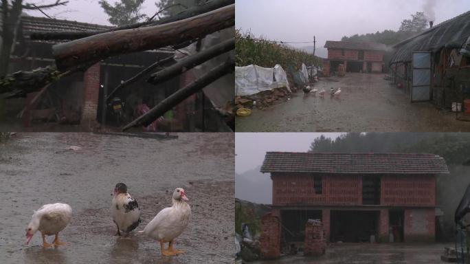 山区下雨天农村环境