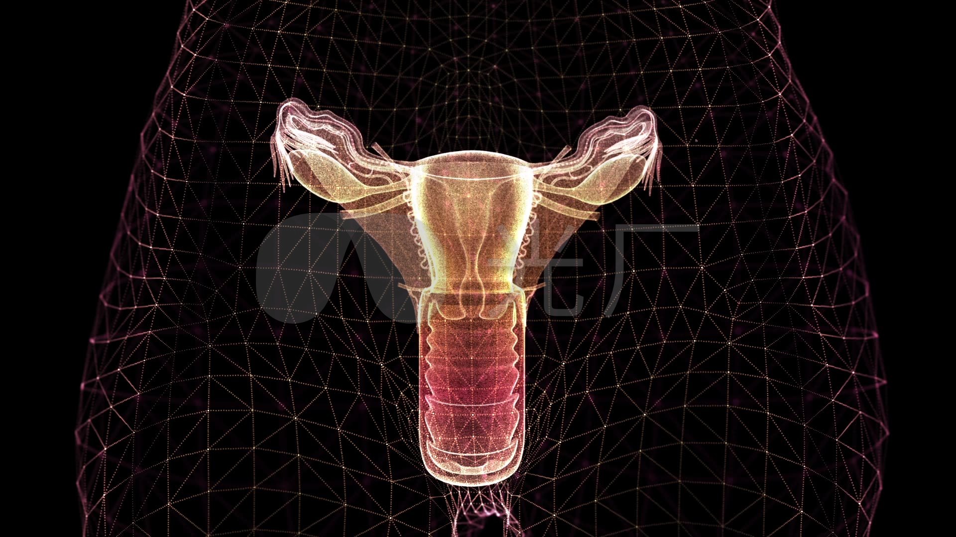 粉红色女性生殖器健康宣传海报素材下载-欧莱凯设计网