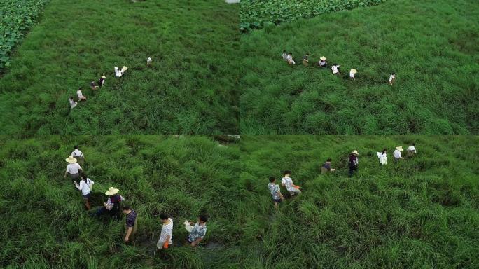 航拍深入沼泽地一组